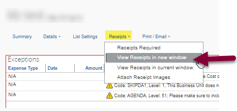 Click Receipts, then View Receipts in New Window