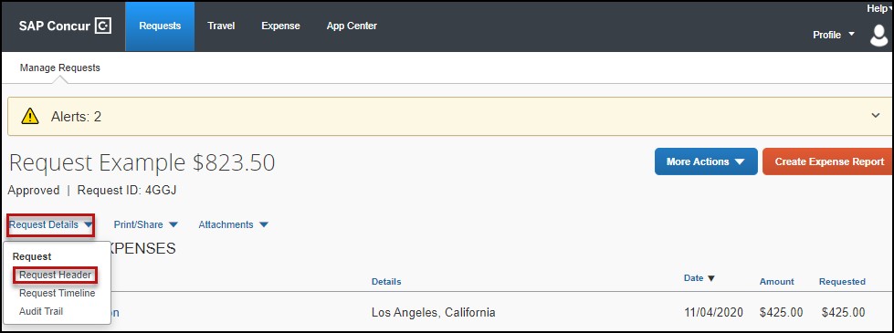 screenshot showing location of request header