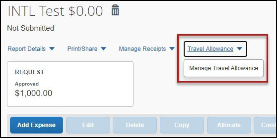 screenshot showing Travel Allowance button