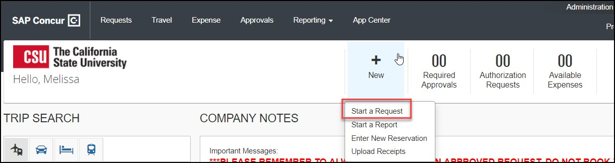 screenshot showing Start a Request