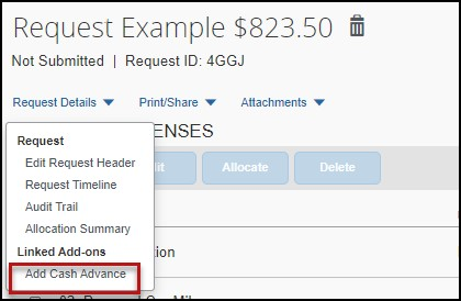 screenshot showing cash advance option