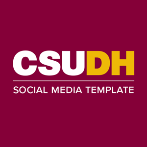 CSUDH social media icon example text on one line