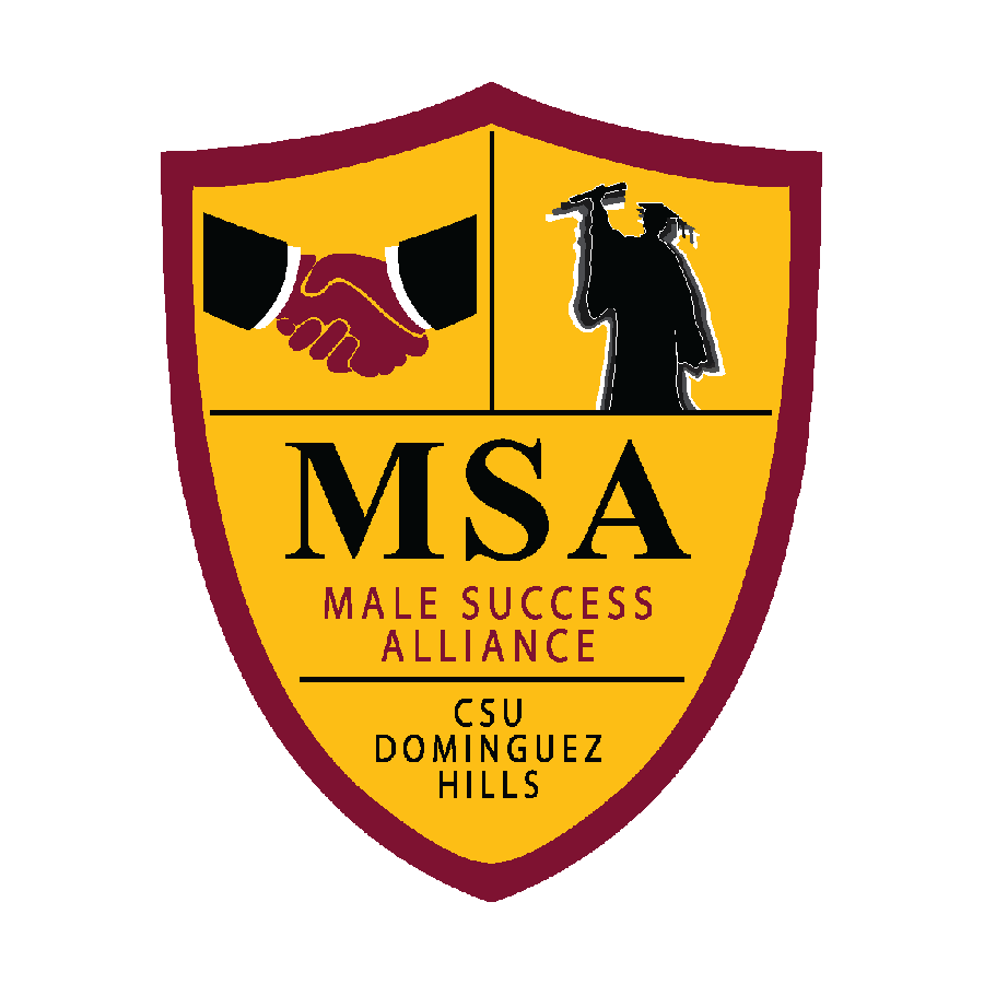 Male Success Alliance (MSA)