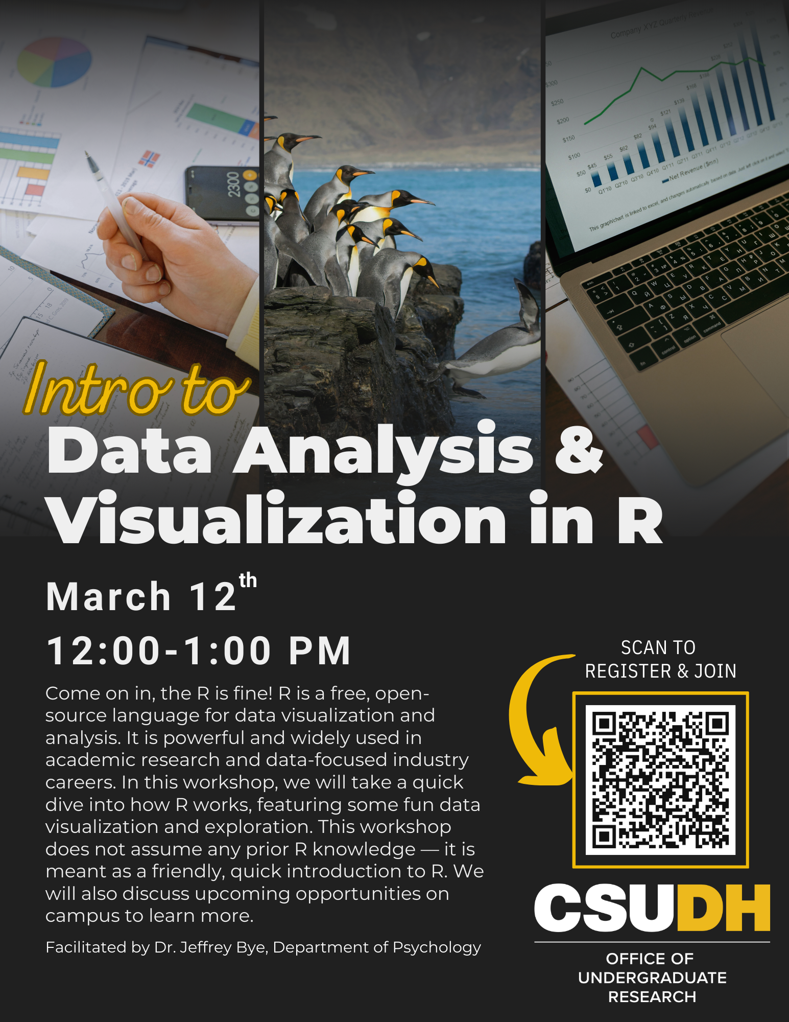 Intro-to-Data-Analysis-Visualization-in-R-Flyer