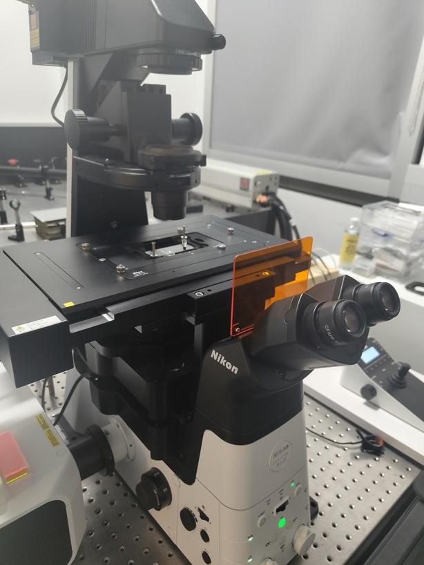 Nikon Microscope to check Specimen in BioPhysics Lab