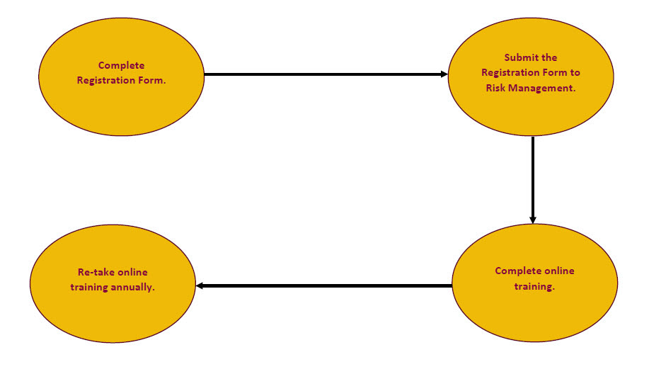 process flow for the youth protection policy registration